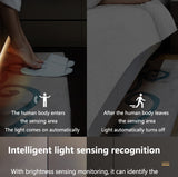 Human Body Induction Flexible Light Bar Cabinet USB Neon Light Strip